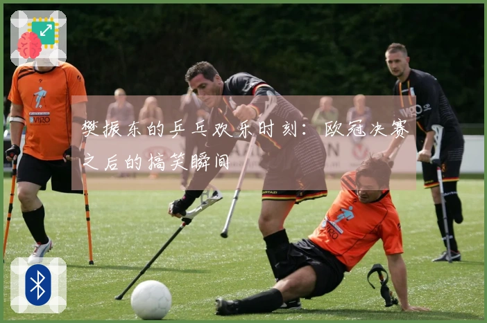 樊振东的乒乓欢乐时刻：欧冠决赛之后的搞笑瞬间